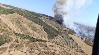 İzmir'de otluk yangını ormana sıçradı