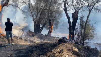 Bodrum’daki yangına müdahale sürüyor