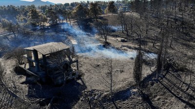 Yunanistan'da orman yangınlarından sonra 80 yaşındaki bir kişi gözaltına alındı