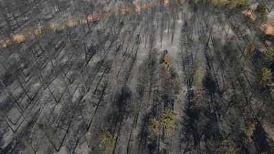 Çankırı'da yanan ormanlık alandaki tahribat havadan görüntülendi