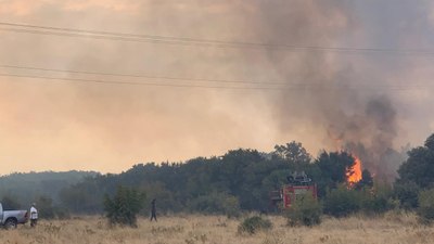 Edirne’de orman yangını anızlık alana sıçradı