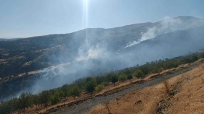 Malatya'da orman yangını