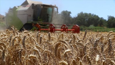 Tarım ve Orman Bakanlığı'ndan 'mazot ve gübre desteği kalktı' iddialarına cevap