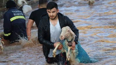 Burdur'da asırlardır sudan koyun geçirme geleneği yaşatılıyor