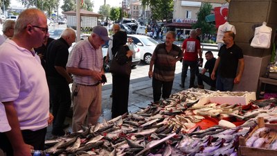 Karadeniz'de tezgahlar çeşit çeşit balıkla doldu