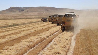 Türkiye ve Mısır arasında tarım alanında iş birliği