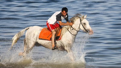 Şampiyon atlar sakatlandıklarında Van Gölü'nde form tutuyor