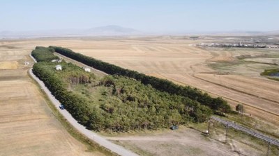 Kars'ta bozkırın ortasında eylül güzelliği