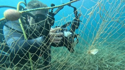 Marmara'da hayalet ağların denizde verdiği zarar görüntülendi