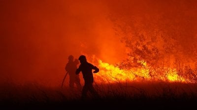 Ukrayna'da orman yangınına müdahale sürüyor