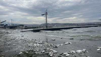 İzmir Körfezi'ndeki kirlilik balık satışını vurdu