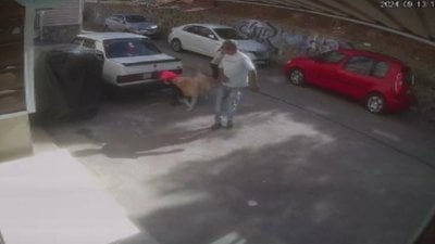 İzmir'de köpeği sevdi, saldırıya uğradı