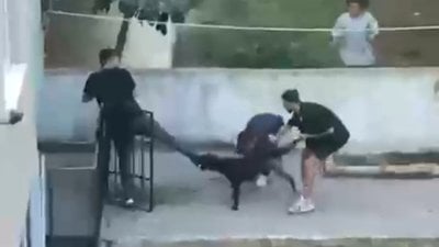 İstanbul - Maltepe'de pitbull dehşeti kamerada