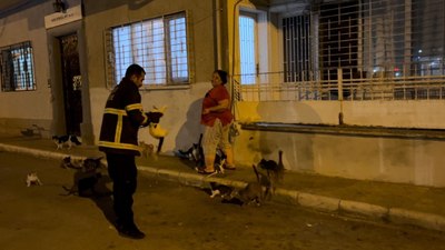 Hatay'da koli bandına sıkışan kedi, yardım eden itfaiyeden kaçtı