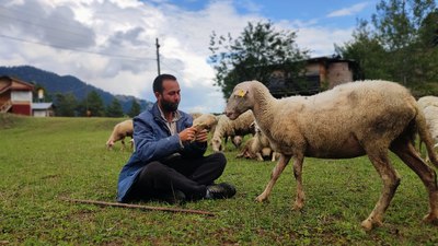 Artvin'de kaymakamlık hayali kuran genç, çoban oldu