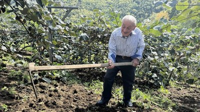 Karadeniz'in ihtiyar delikanlıları, topraktan ayrılamıyor