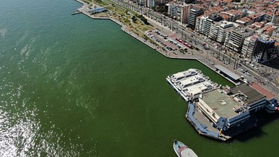 İzmir'de çevre felaketi: Körfez'de balık ölümleri devam ediyor