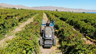 Elazığ'da mühendisliği bıraktı, tarımda servet kazandı