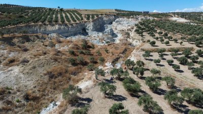 Hatay'da depremin ikiye ayırdığı bahçede hasat