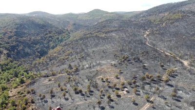 İzmir'de yangınında hasarın boyutu havadan görüntülendi