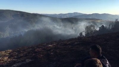 Sivas’ta çıkan örtü yangını kontrol altında