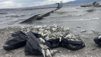 Bilim Kurulu'nun İzmir Körfezi'ni temizleyecek eylem planı hazır