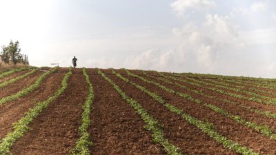 İsrail'in Lübnan'a yönelik saldırıları gıda üretimini olumsuz etkiliyor