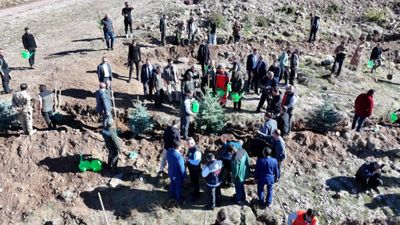 Erzurum'da  122 bin fidan toprakla buluştu