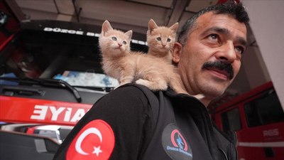 İtfaiye çalışanı, kurtarılan kedi yavrularını sahiplendi