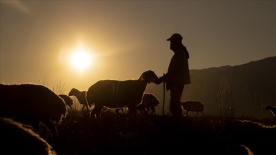 Tunceli'de göçerlerin kurt ve ayı tehlikesi altında dönüş yolculuğu