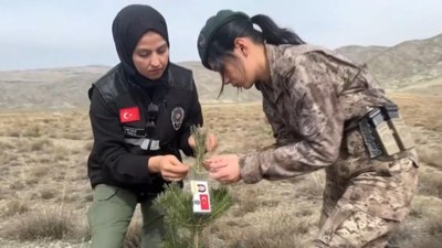 Erzincan'da kadın polisler, şehit meslektaşları için fidan dikti