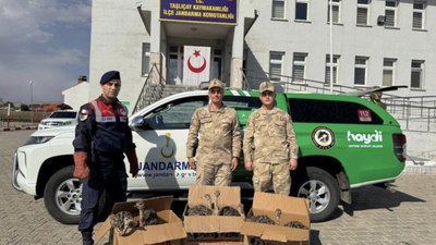 Ağrı'da otobüsün bagajında 6 deve kuşu yavrusu ele geçirildi