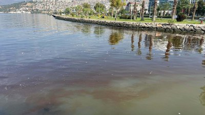 İzmir Körfezi'ndeki kirlilik, sediment yapısını da bozdu