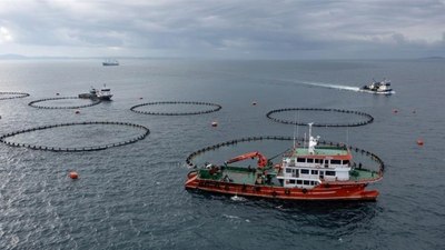 Karadeniz'den su ürünleri ihracatı değerde ve miktarda artış yaşadı