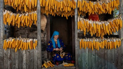 Trabzon’un serenderlerinde kışa hazırlık