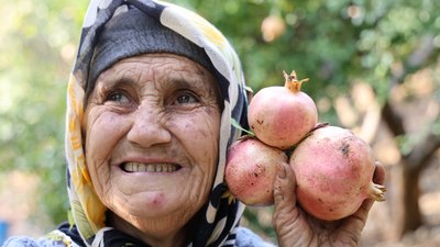 Adana'da Kuytucak narı bahçede 20 liradan satılıyor