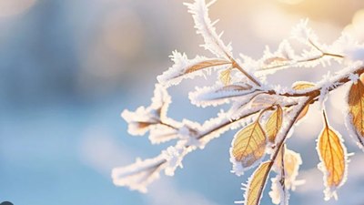 Meteorolojiden zirai don uyarısı