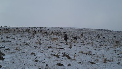 Bayburt'ta yaylalardan göç sürüyor