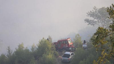 Muğla'daki orman yangını kontrol altında