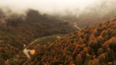 Doğu Karadeniz'de sonbaharın büyüleyici renkleri