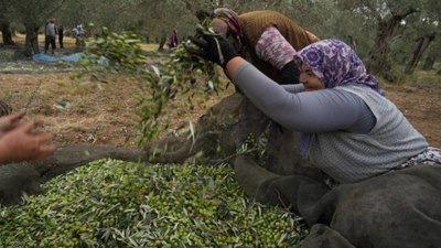 Hasadı başladı: Uyumadan önce yiyince, metabolizmayı uçuruyor