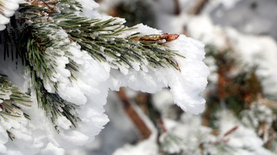 Bolu Köroğlu Dağları'ndan kartpostallık manzaralar