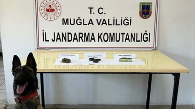 Muğla'da uyuşturucu operasyonu: 6 gözaltı