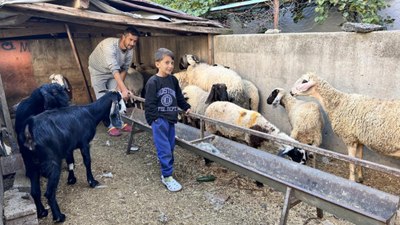 Hatay'da depremzedenin koyunları çalındı, polis umut oldu