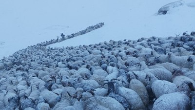 Van'ın İran sınırında kar kalınlığı 20 santimetreye ulaştı