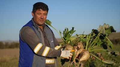 Kırıkkale’de kuraklık şeker pancarının rekoltesini etkiledi