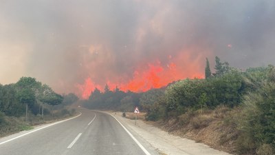 Çanakkale'de ormanlara giriş yasağı uzatıldı