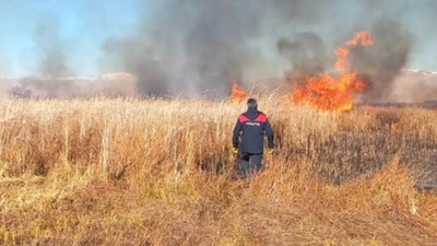 Hakkari Nehil sazlığında başlayan yangın kontrol altında