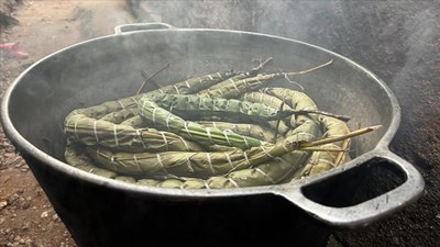 Doğurganlık, kan temizliği, cilt bakımı! Bunu ekmek yerine yiyenler hepsine kavuşuyor...