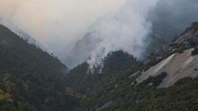 Denizli'deki orman yangını kontrol altına alındı